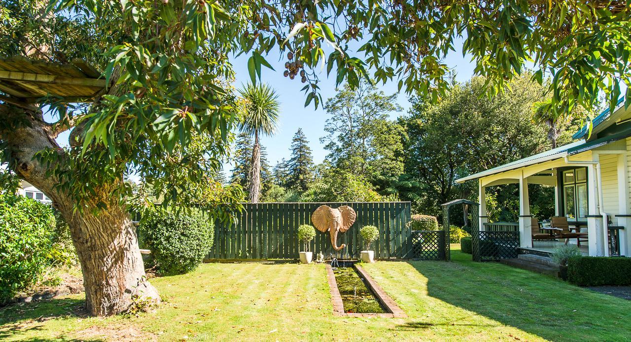 Gumnut House. Bed & Breakfast Whanganui Ngoại thất bức ảnh